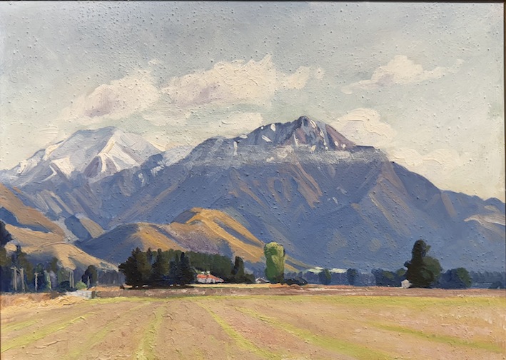 AA Deans | Shaws Corner | McATamney Gallery and Design Store | Geraldine NZ
